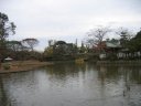 鶴岡八幡宮　源氏池とぼたん園